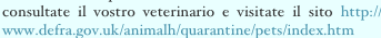 shapeimage_6_link_0